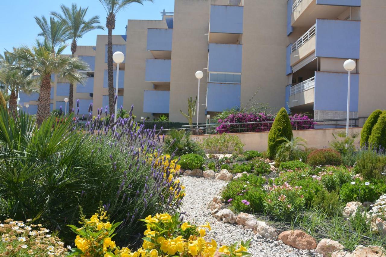 Cabo Roig Del Sol Lejlighed Orihuela Eksteriør billede